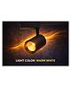 SPARK WORLD | Track Light | Pack of 2 | 10 Watt Track Black (Warm White) Finish LED Spotlight Focus Light Aluminium Yellow LED Decorative Light for Home & Festival Use