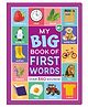My Big Book of First Words Multi Sensor Sound Book for Kids - English