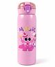 KolorFish Panda Style 700ml Water Bottle for Kids | Leakproof Travel Sipper | BPA-Free | Reusable Cute Design Tumbler | 304 Stainless Steel Inner (Magic Pink)