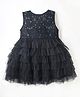 Cherry Crumble By Nitt Hyman Net Woven Sleeveless Floral Embroidered Ruffled Dress - Black