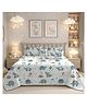 Morado Premium Glace Cotton Quilted 5 Pcs Bedding Set Double Bed Size Bedsheet With Two Pillow Covers And Two Filled Cushions ( 90x100 Inches ) Baby Elephant - Teal Blue