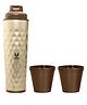 VAYA DRYNK Stainless Steel Water Bottle for Office, 525ml Vacuum Insulated Flask Water Bottle with Gupler Lid, Gold