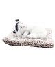 FunBlast  Sleeping Cat 18 cm Plush Toy with Meow Sound - Pack 1 (White)