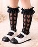 Flaunt Chic Cotton Blend Knit Heart Designed Lace Embellished Socks - Black