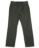 U.S. Polo Assn. Kids Cotton Woven Solid Trousers - Dark Olive