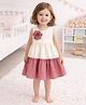 The Magic Wand Woven Sleeveless Colour Blocked & Floral Applique Detailed Dress - Pink