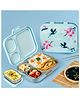 Basil Bento Box Quad Plus 4 Compartment Stainless Steel Lunch Box 1020ml BPA Free Lid Leak Proof - Sakura Bloom
