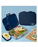 Basil Bento Box Quad Plus 4 Compartment Stainless Steel Lunch Box 1020ml BPA Free Lid Leak Proof - Indigo Zen