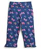 bontots Organic Cotton Knit Butterflies Printed Pajama - Blue