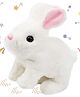ARCADE TOYS 17.5 cm Walking Bunny Rabbit Toy Stuffed Animal Toy for Kids & Babies- Multicolor