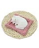 FunBlast 18 cm Sleeping Cat Plush Toy with Meow Sound - Pack 1 (White-Random)