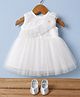 Bluebell Tissue Woven Sleeveless Party Dress With Floral Applique & Booties - Off White