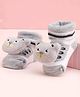 Cute Walk by Babyhug Socks With Large Bear Applique - Light Grey