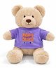 ELITE CREATIONS 30 CM Teddy Bear Plush Toy for Kids Soft Stuffed Animal with Reach for Stars T Shirt Cute Huggable Soft Toy for Boys and Girls