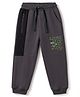 Pine Kids Knit Full Length Cut N Sew Text Printed Lounge Pant - Grey