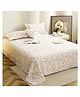 Story@Home 240 TC King Size Bedsheet with 2 Pillow Covers, Multicolor
