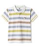 Kids Magic Cotton Knit T-Shirts Half Sleeves Striped Polo Neck 28 Multi Color 14-16 Years