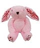 Tukkoo 30 cm Soft Bunny Plush Stuffed Animal Doll