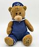 TUKKOO 20 cm Teddy Bear Plush with 