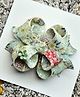 FOLLOW THE NEEDLE Glitter Embellished Floral & Bow Applique Detailed Alligator Hair Clip - Blue