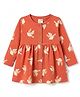 CUCUMBER Sinker Knit Full Sleeves Birds Printed Frock - Rust Orange