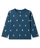CUCUMBER Cotton Knit T-Shirts Full Sleeves Sinker Teal Blue Boat Print 18-24 Months