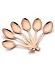 Parage 6 Pieces Stainless Steel Rose Gold Spoons Set, 16cm Long, Premium Spoons for Home & Kitchen, Luxury Dining Tableware Gift for House Warming,Dinner Spoon Set of 6