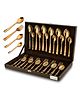 Parage 24 Pieces Premium Stainless Steel Golden Cutlery Set, Home & Kitchen with Gift Box, PVD Rose Gold (6 Pieces Each Table Spoons, Table Forks, Dinner Spoons & Tea Spoons) with Leatherite Box