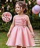 Bluebell Satin Woven Sleeveless Party Dress With Floral Applique - Wine