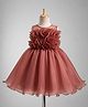 Bluebell Tissue Woven Sleeveless Party Dress With Applique - Brown