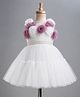 Enfance Net Woven Sleeveless Flared Party Dress With Floral Applique & Pearl Detailing - White