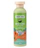 Green Milk Concepts Green Cuddle Baby Massage Oil | Ayurvedic Oil with Coconut, Almond, Ghee & Turmeric | Lightweight & Non-Sticky for Daily Massage | Suitable from 3+ Months | No Mineral Oil - 200 ml