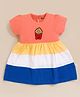 MOONKIDS 100% Cotton Knit Half Sleeves Fries Embroidered  Colour Blocked Dress - Multi Colour
