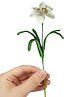 Happy Threads Crochet Lily Flower - White (1 Pc) | Handmade Crochet Gifts for Women & Men | Eco-Friendly Amigurumi Blooms Artificial Flower for Decoration, Festive Gifting, Office & Home Decor