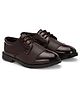 Stefens Lace Up Solid Party Wear Shoes - Brown