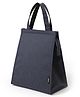 FunBlast Multipurpose Insulated Lunch Bag for Girls, Office & Daily Use (Blue)