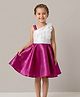 smile baby NX Tissue Woven Sleeveless Colour Blocked Floral Applique & Shimmered Dress - Magenta