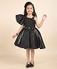 smile baby NX Tissue Knit Half Flutter Sleeves Sequins Embellished Bow Applique detailed & Floral Embroidered Pleated Dress