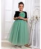 Toy Balloon Kids Velvet Woven  Half Sleeves Sequins Embellished Floral Applique Detailed Gown - Pista Green