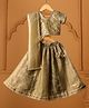 Casa Ninos Tissue Woven Half Sleeves Gota Lace Embellished Lehenga Choli Set With Dupatta - Green