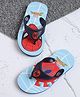 Kidsville Marvel Featuring Spiderman Logo Designed & Applique Detailed Flip Flops - Navy Blue