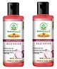 Bhudevam Naturals Khadi Red Onion Hair Shampoo  Anti-Hair Fall & Strengthening Formula- 420ML (Pack of 2)