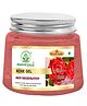 Bhudevam Naturals Khadi Rose Aloe Vera Face Gel Nourishing, Hydrating & Glow Boosting Gel for All Skin Types- 200 g
