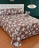 Morado Premium Glace Cotton 5 Pcs Queen Size Bedsheet Set (90x100 Inches) | 2 Pillow Covers & 2 Cushions with Fillers | Elegant Pom Lace Detail | Coffee Flower