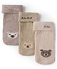Doodle Poodle Knit Ankle Length Socks with Bear Design Pack of 3 - Cream