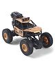 House of Kids RC Rock Crawler Monster Truck with Smoke Spray Function and Type-C Charging  Fog Rock Crawler -Gold
