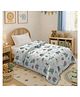 Morado Premium Glace Cotton Reversible Single Bed Comforter 60x90 Inches | Ultra Soft, Lightweight & Breathable | 150 GSM Cozy All-Season Bedding Comforter, Baby Elephant
