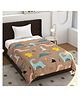 Morado Premium Glace Cotton Reversible Single Bed Comforter 60x90 Inches | Ultra Soft, Lightweight & Breathable | 150 GSM Cozy All-Season Bedding Comforter, Brown Dinosaur