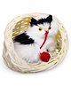 FunBlast 14.5 cm Cute Cat Plush Toy with Basket for Kids Pack 1  Black & White