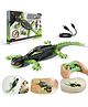 Kidology Remote Control Wall Climbing Lizard Toy - Gravity Defying 360° Rotating RC Robot with LED Lights - Crawls on Walls, Ceilings & Floors - Fun Gift for Kids 4+ Years